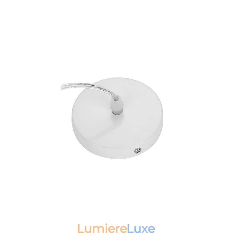 Autres caractéristiques modernes et contemporaines pour lustre en métal