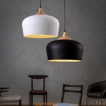 Lampe suspendue contemporaine moderne à 1 lumière avec abat-jour blanc rouge bleu Lampe suspendue contemporaine moderne à 1 lumière avec abat-jour blanc rouge bleu