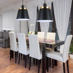 Plafonnier suspendu contemporain moderne à 1 lumière