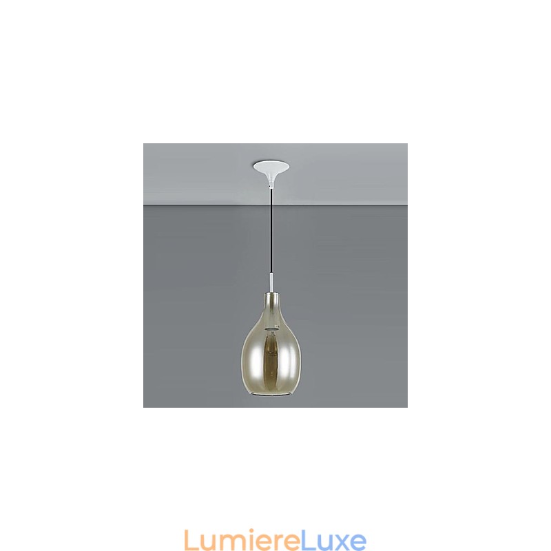 Lustre 1 lumière simple moderne artistique