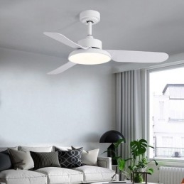 Lampe de ventilateur à onduleur Lampe de ventilateur de plafond minimaliste moderne