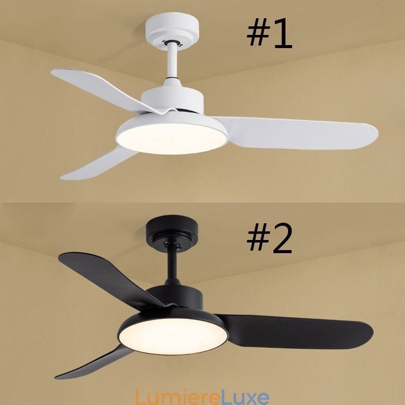Lampe de ventilateur à onduleur Lampe de ventilateur de plafond minimaliste moderne