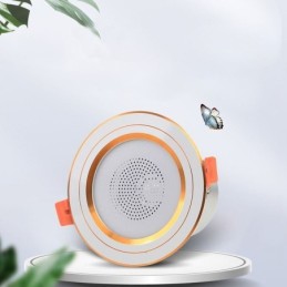 Plafonnier intelligent avec haut-parleur Bluetooth et musique, idéal pour téléphone portable