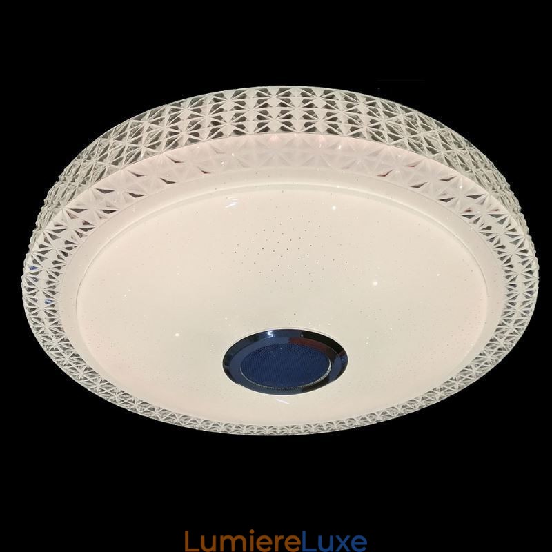 Plafonnier décoratif avec télécommande et application Bluetooth, haut-parleur musical encastré