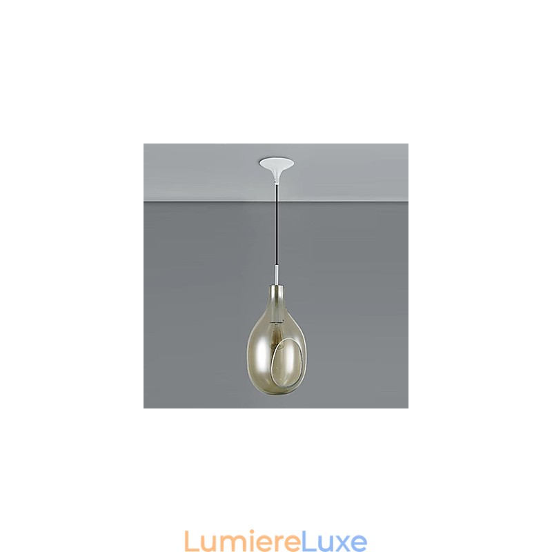 Lustre 1 lumière simple, moderne et artistique
