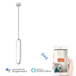 Suspension ovale en acrylique, luminaire décoratif