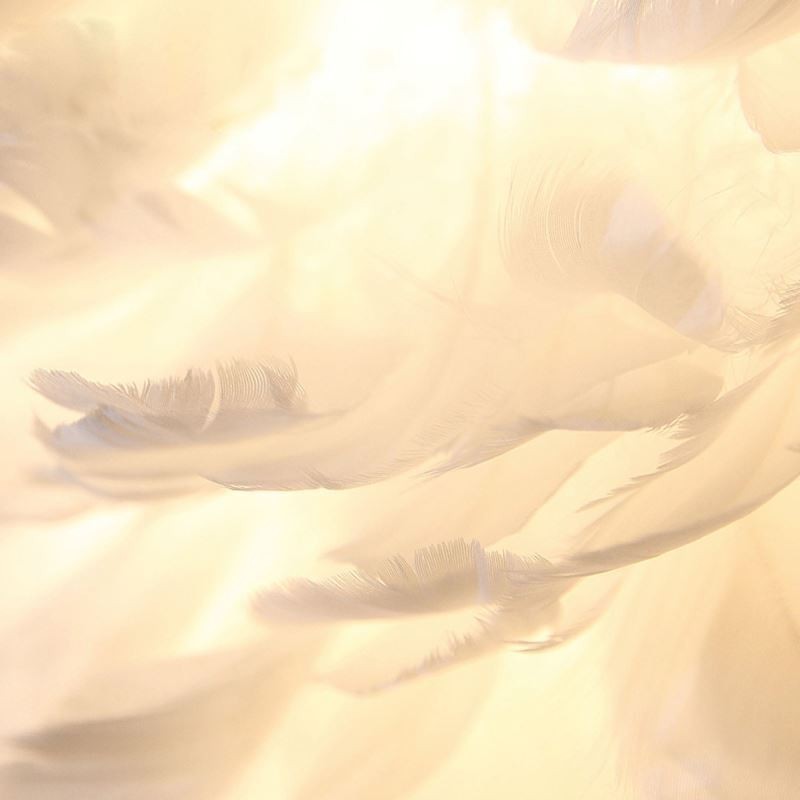 Luminaire suspendu décoratif Pretty Feather