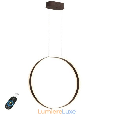 Suspension nordique en acrylique en forme d'anneau Suspension nordique en acrylique en forme d'anneau