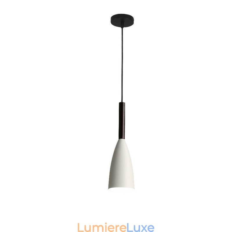 Lampe suspendue moderne au design simple et spécial