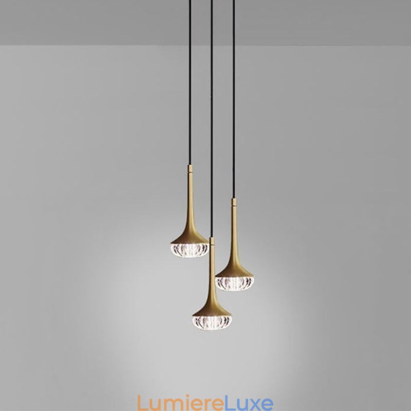 Suspension moderne en verre et plafonnier en fer forgé
