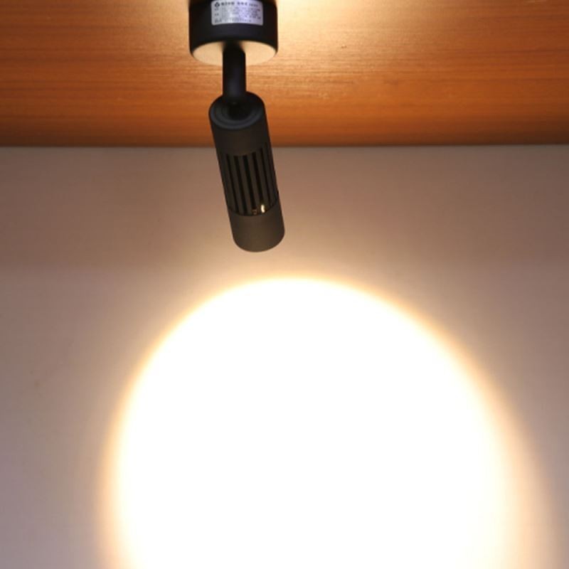 Spot de plafond noir rotatif COB (lumière unique)