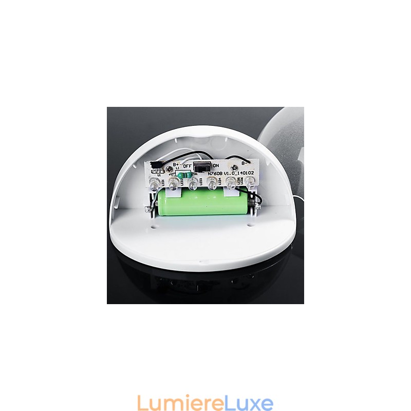 Lampe solaire d'extérieur à capteur automatique pour jardin (blanche)