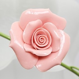 Saint-Valentin Les fleurs et plantes de la roseraie absorbent la lumière du dôme