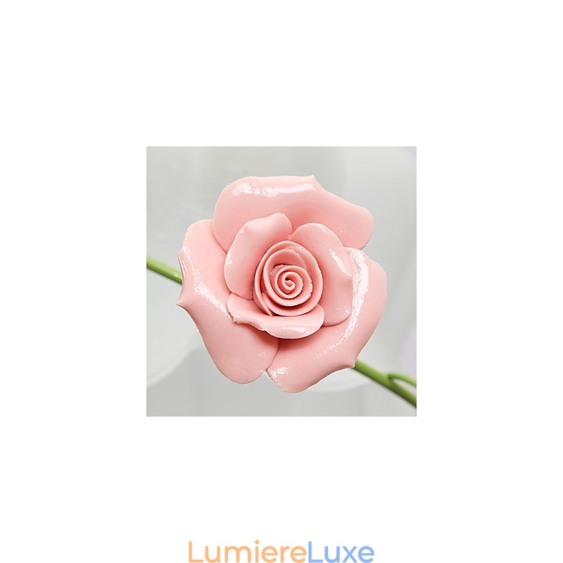 Saint-Valentin Les fleurs et plantes de la roseraie absorbent la lumière du dôme