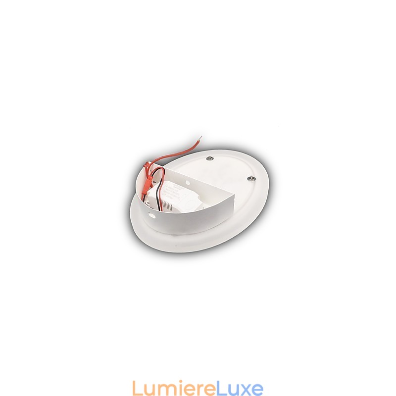 Applique murale ronde en acrylique sculpté prune, lampe de chevet, éclairage de couloir, blanc chaud, AC 220 V