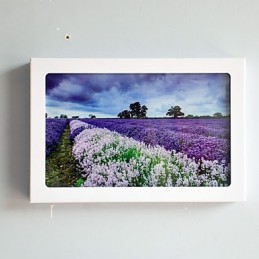 Peinture contemporaine moderne intégrée pour appliques murales à lumière ambiante