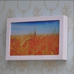 Peinture contemporaine moderne intégrée pour appliques murales à lumière ambiante