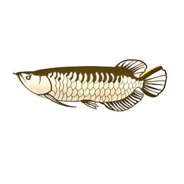 Appliques murales modernes en forme de poisson, style simple, éclairage acrylique, pour salon, couloir, chambre à coucher, hôtel, décoration
