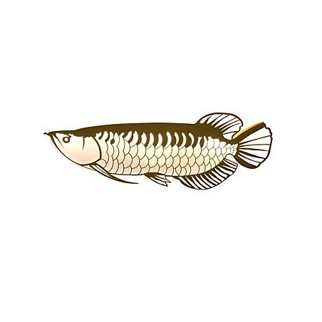Appliques murales modernes en forme de poisson, style simple, éclairage acrylique, pour salon, couloir, chambre à coucher, hôtel, décoration Appliques murales modernes en forme de poisson, style simple, éclairage acrylique, pour salon, couloir, chambre à coucher, hôtel, décoration