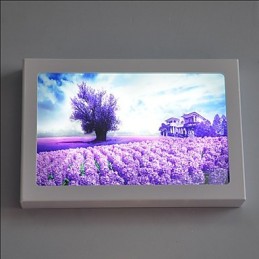 Peinture contemporaine moderne intégrée pour appliques murales à lumière ambiante