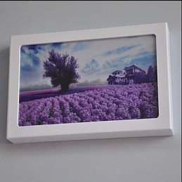 Peinture contemporaine moderne intégrée pour appliques murales à lumière ambiante