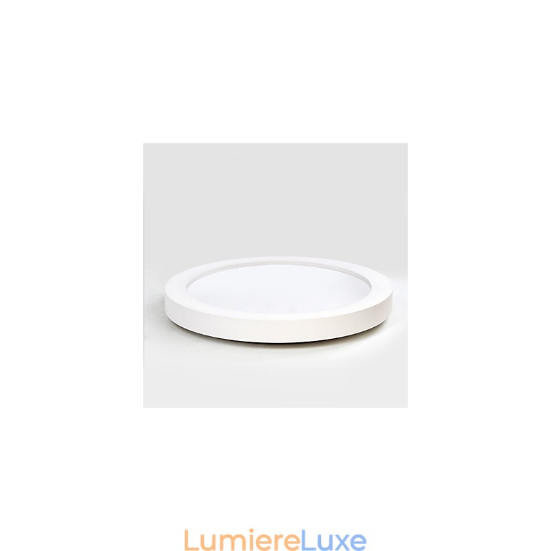 Plafonnier décoratif contemporain moderne