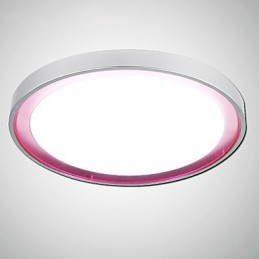 Plafonnier 1 lumière moderne simple et artistique