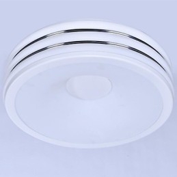 Plafonnier 1 lumière moderne simple et artistique