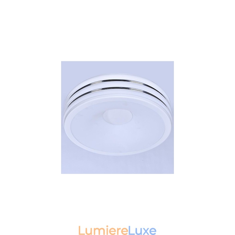 Plafonnier 1 lumière moderne simple et artistique