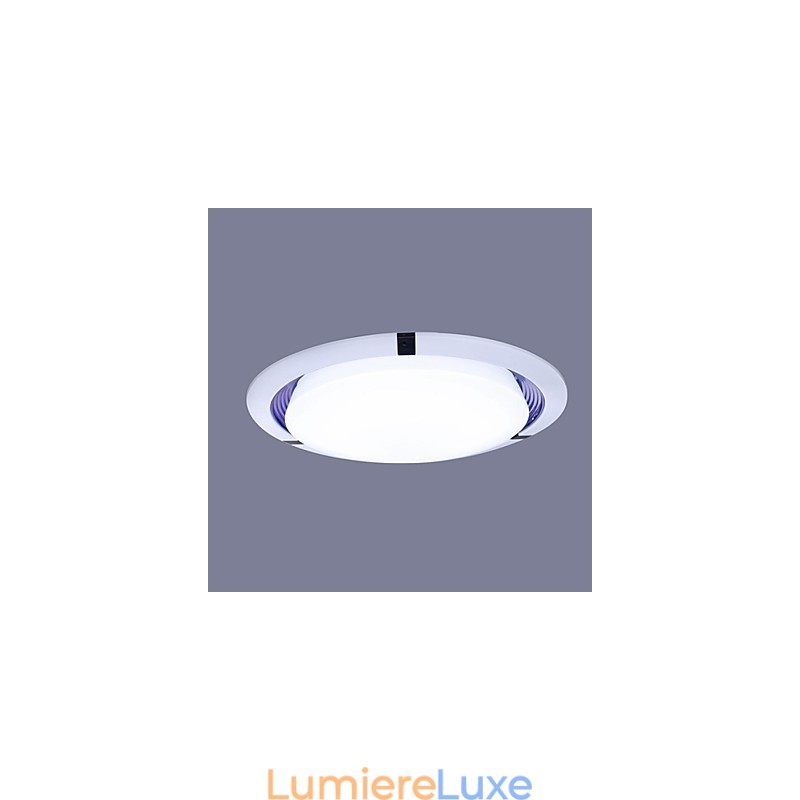 Plafonnier 1 lumière moderne simple et artistique