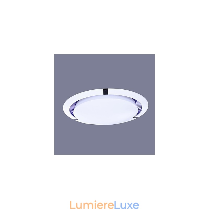 Plafonnier 1 lumière moderne simple et artistique