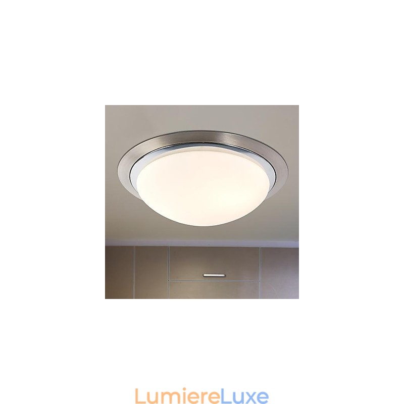 Plafonnier 1 lumière moderne simple et artistique