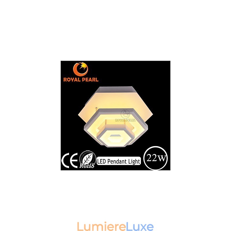 Plafonnier moderne 22 W