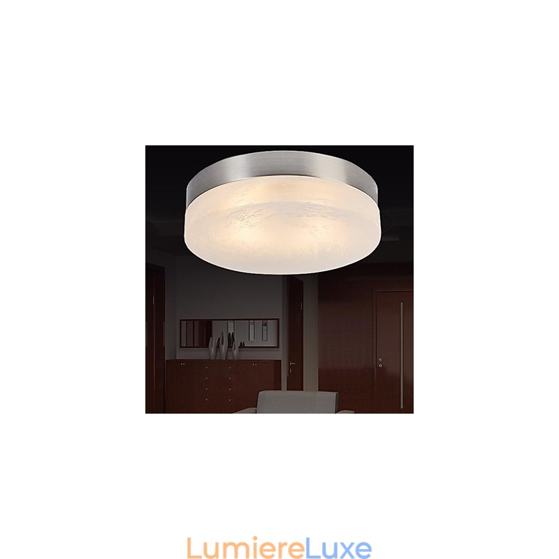 Plafonnier 1 lumière moderne simple artistique