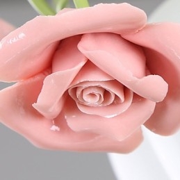 Saint-Valentin Les fleurs et plantes de la roseraie absorbent la lumière du dôme
