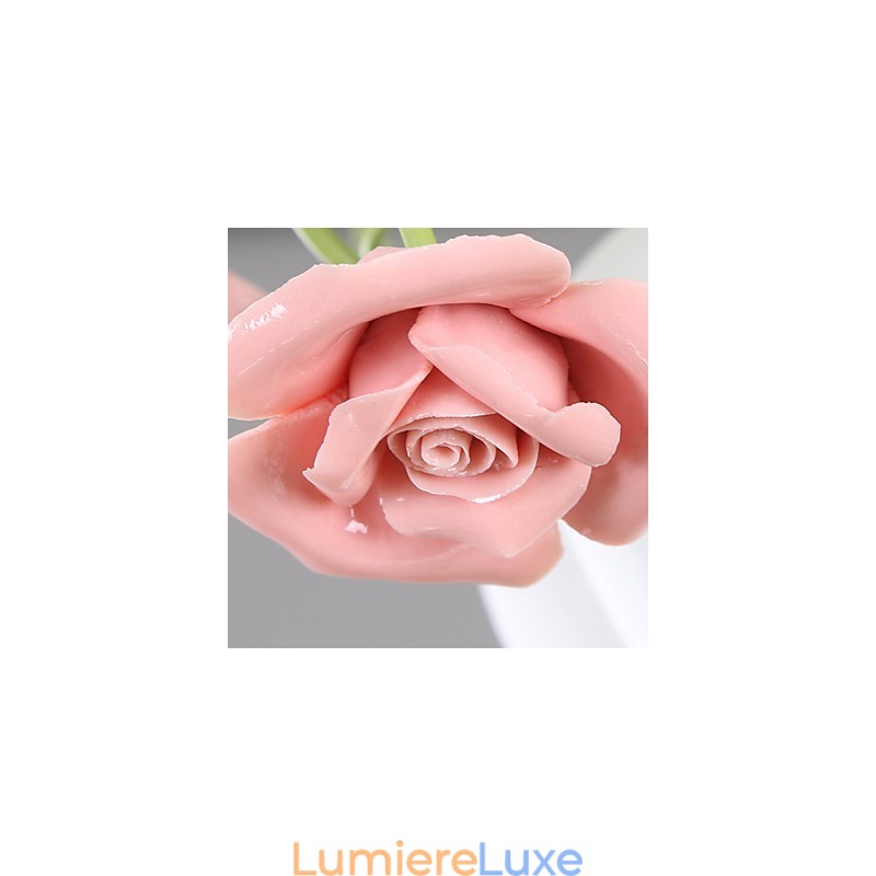 Saint-Valentin Les fleurs et plantes de la roseraie absorbent la lumière du dôme