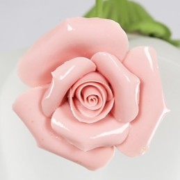 Les fleurs et plantes du jardin de la Saint-Valentin absorbent la lumière du dôme