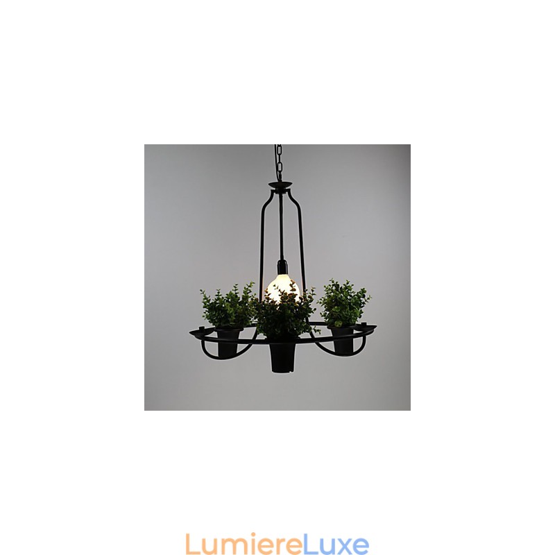 Fleurs du jardin méditerranéen Lumière