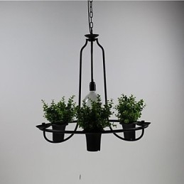 Fleurs du jardin méditerranéen Lumière