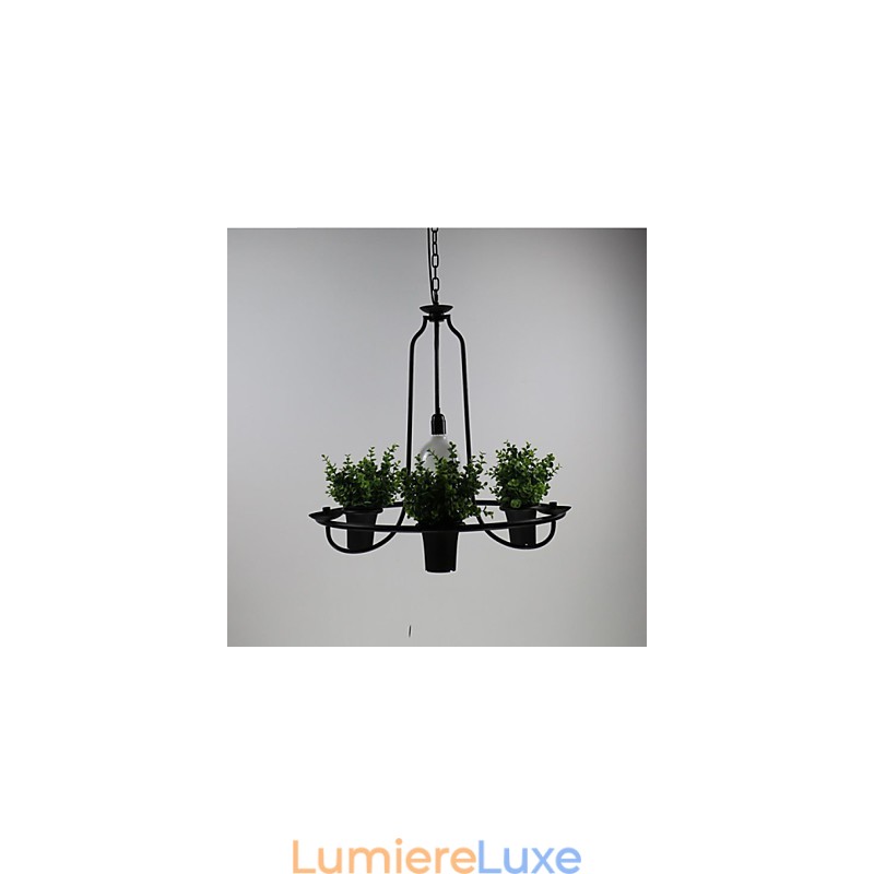 Fleurs du jardin méditerranéen Lumière