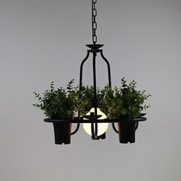 Fleurs du jardin méditerranéen Lumière