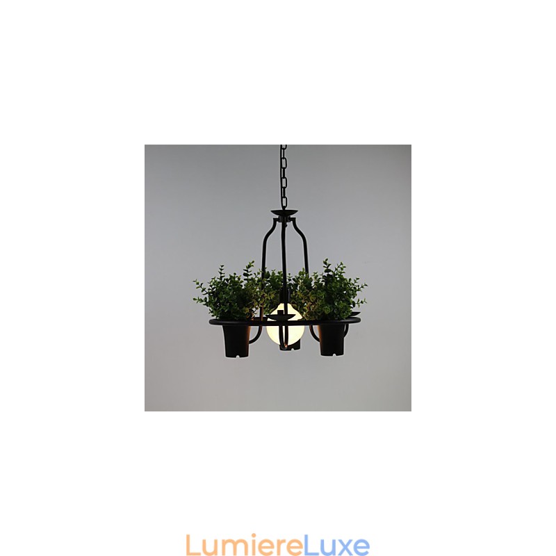 Fleurs du jardin méditerranéen Lumière
