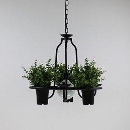 Fleurs du jardin méditerranéen Lumière
