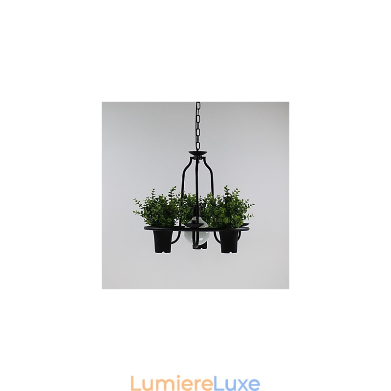 Fleurs du jardin méditerranéen Lumière