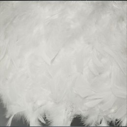 Lustre en plumes tendance et moderne, très tendance