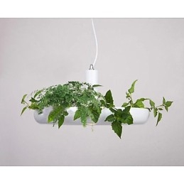 Famille de luminaires suspendus décoratifs modernes et contemporains blanc pur